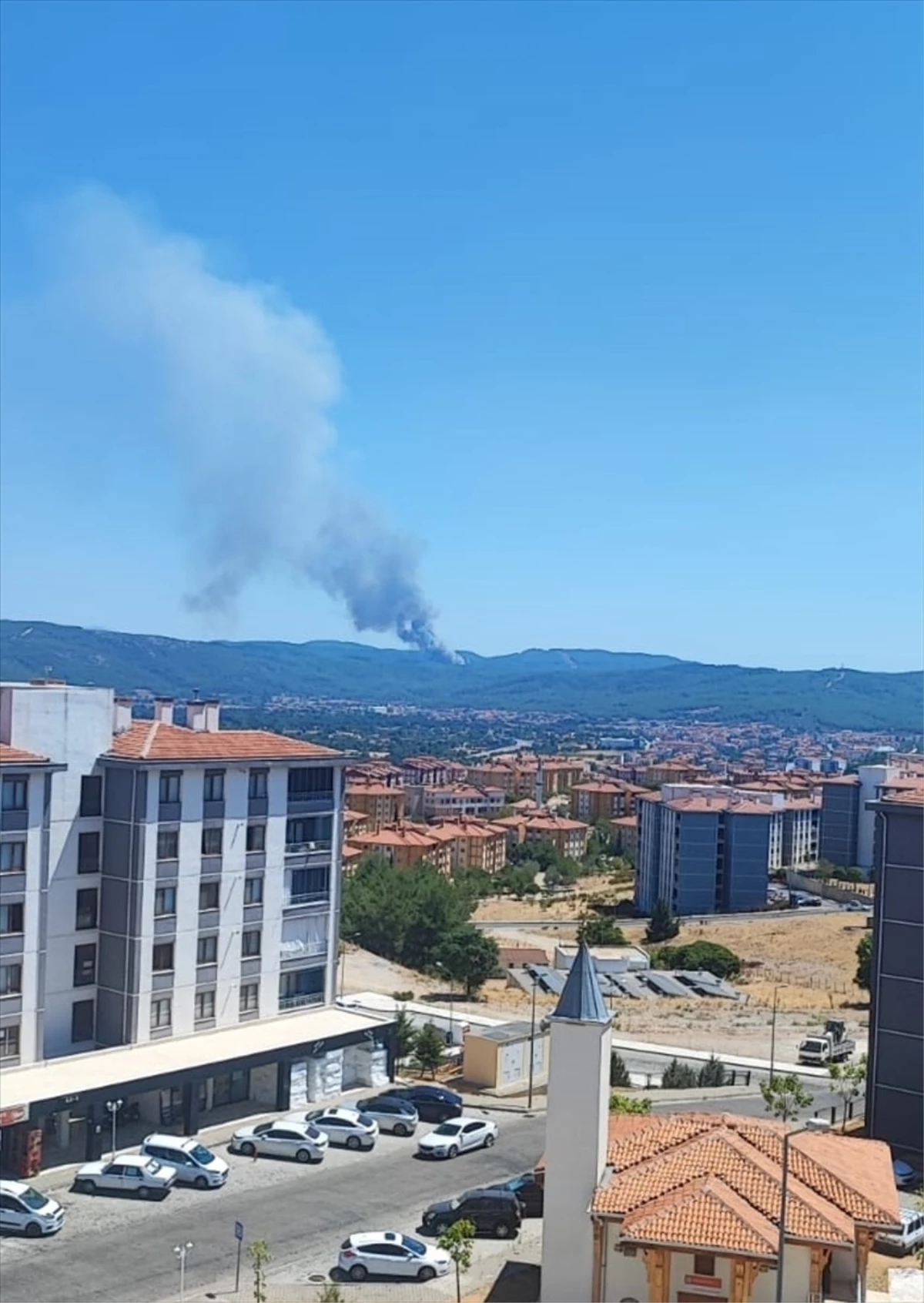 Muğla'da Orman Yangınlarına Havadan ve Karadan Müdahale